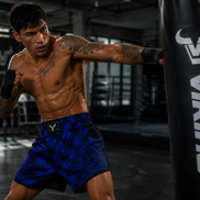 Viking Stripe Muay Thai Shorts
