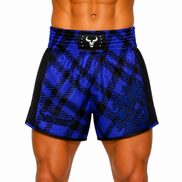 Viking Stripe Muay Thai Shorts