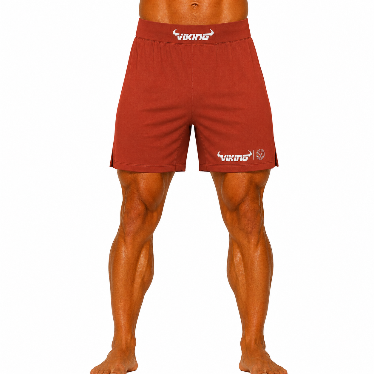 Viking Valhalla Shorts