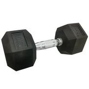 Viking Rubber Hex Dumbbells